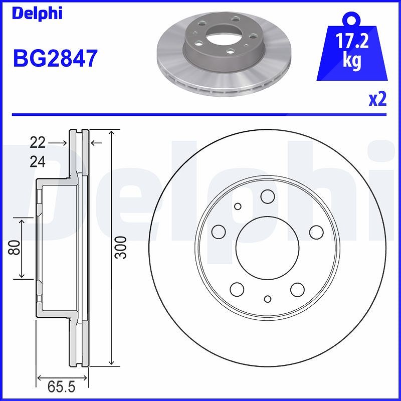 Delphi Bremsscheibe [Hersteller-Nr. BG2847] für Fiat, Peugeot, Citroën