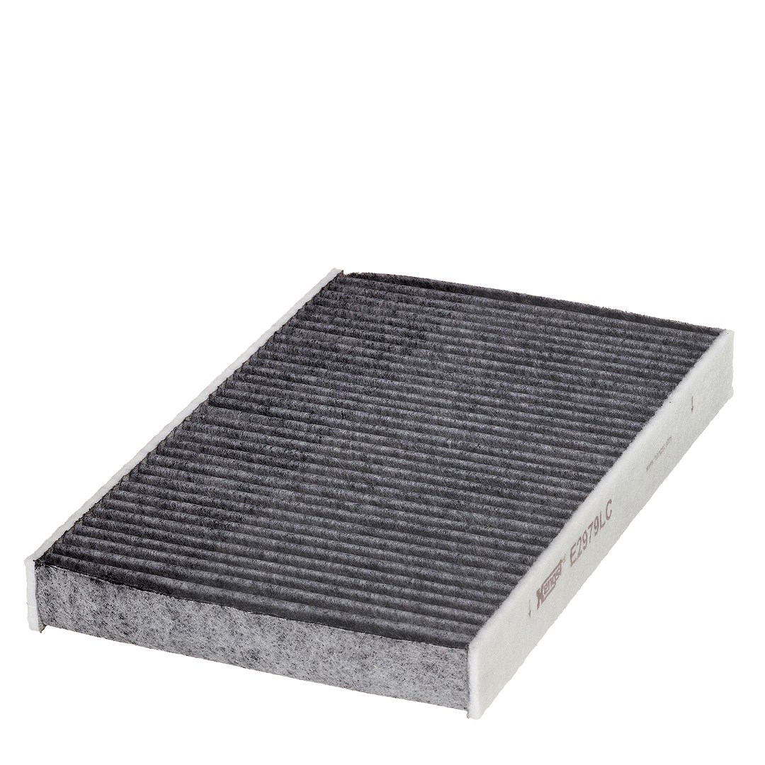 Hengst Filter Filter, Innenraumluft [Hersteller-Nr. E2979LC] für Citroën, Peugeot, Ds