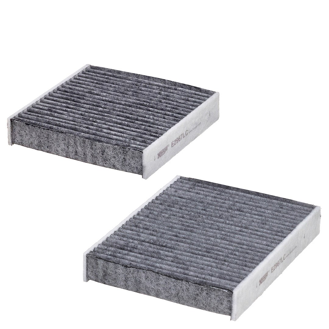 Hengst Filter Filter, Innenraumluft [Hersteller-Nr. E2967LC-2] für Peugeot, Citroën, Ds