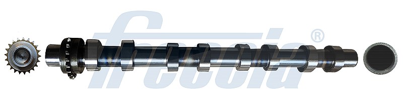 Für FRECCIA CM05-2400 Camshaft CM05-2400 Camshaft (exhaust side) fits: DS DS 4 - Bild 6