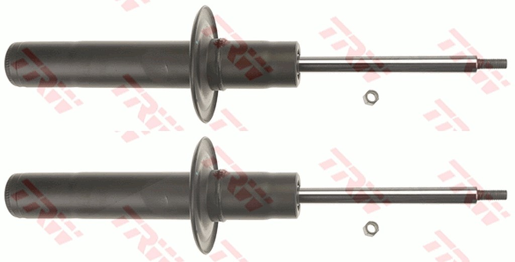 Trw Stoßdämpfer [Hersteller-Nr. JGM1086T] für Audi