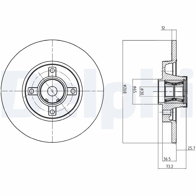 Delphi Bremsscheibe [Hersteller-Nr. BG9053RSC] für Ds, Ds (capsa), Citroën, Peugeot