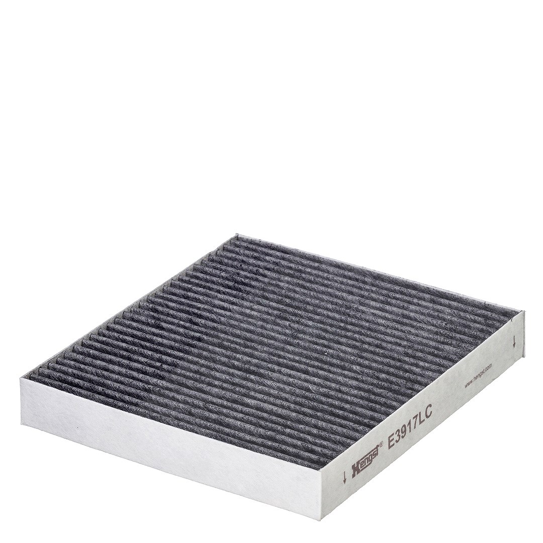 Hengst Filter Filter, Innenraumluft [Hersteller-Nr. E3917LC] für Citroën, Peugeot, Mitsubishi