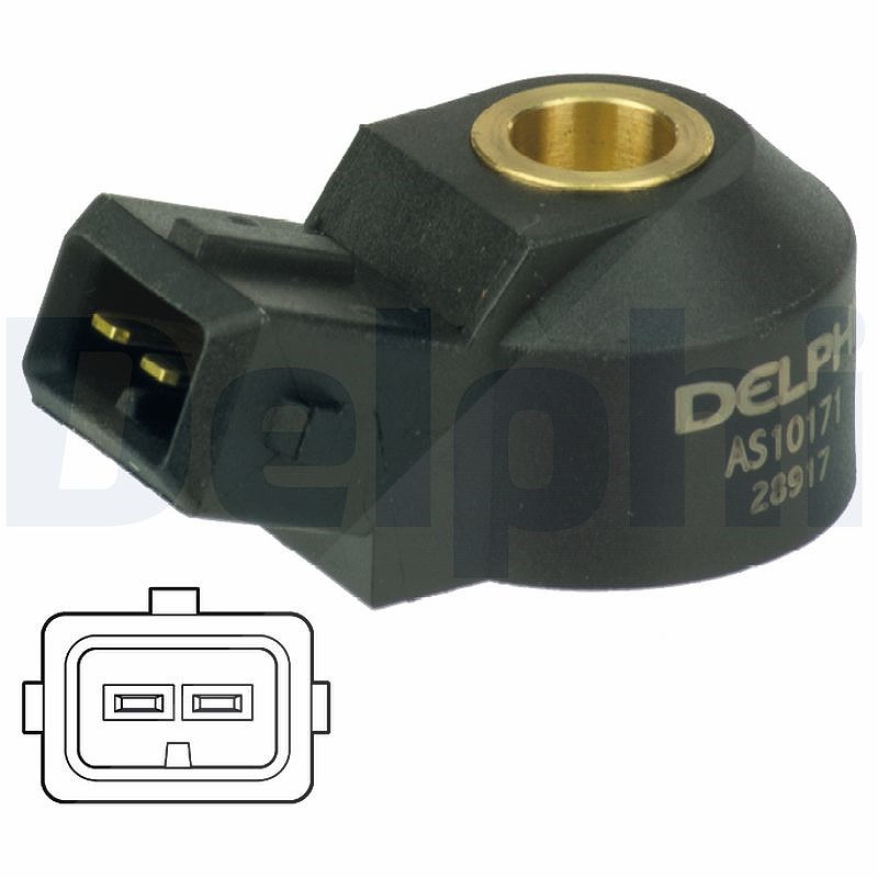 Delphi Klopfsensor [Hersteller-Nr. AS10171] für Renault, Saab, Citroën, Mercedes-Benz, Peugeot, Skoda, Seat, VW, Toyota
