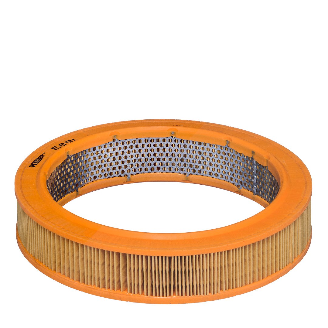 Hengst Filter Luftfilter [Hersteller-Nr. E89L] für Renault, Citroën, Saab, Seat, Audi, Ford, Skoda, VW