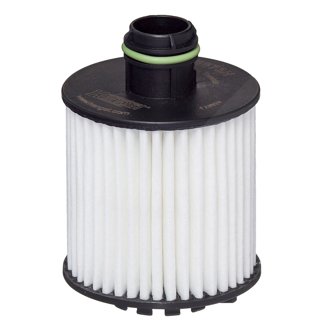 Hengst Filter Ölfilter [Hersteller-Nr. E873HD377] für Vauxhall, Peugeot, Citroën, Opel, Alfa Romeo, Fiat