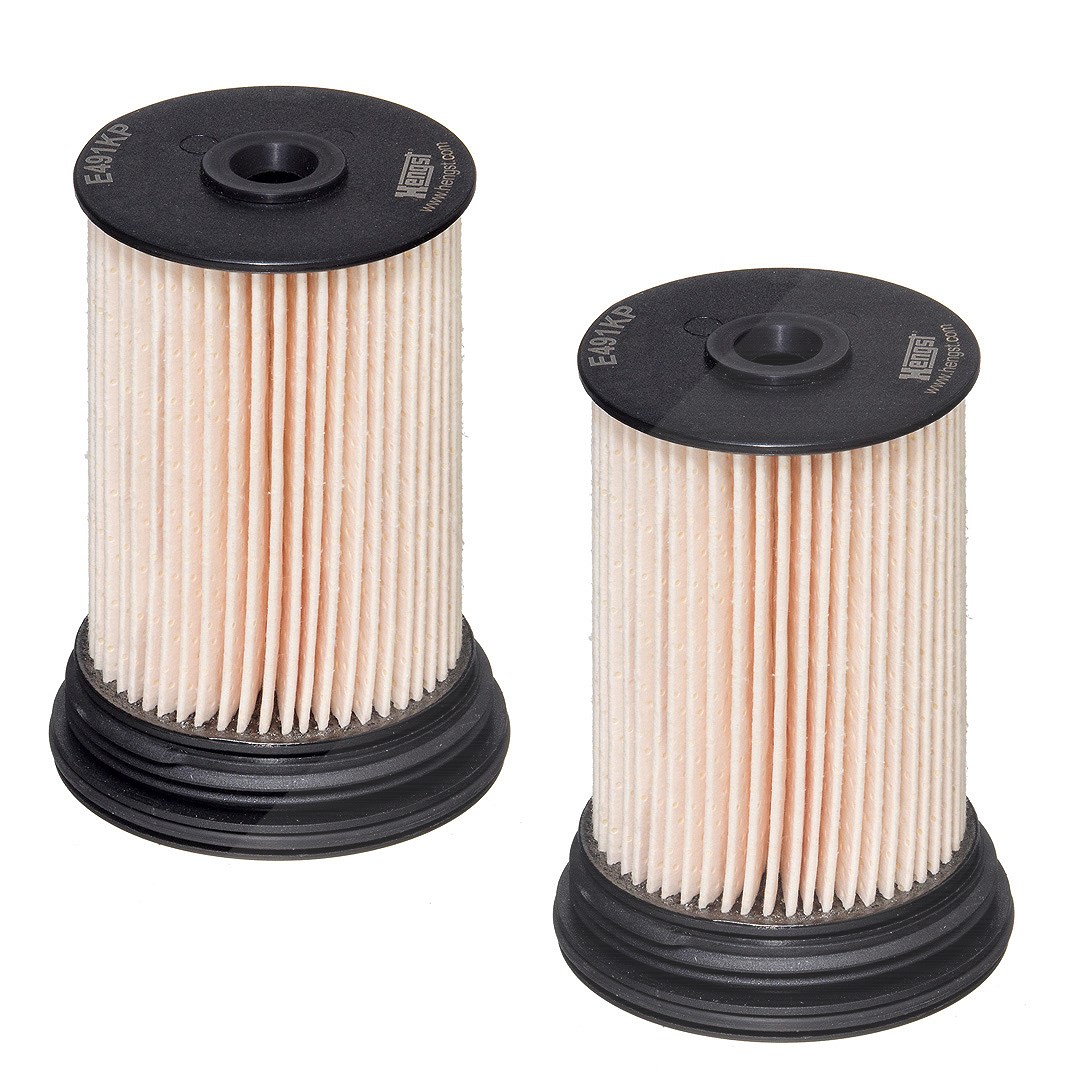 Hengst Filter Kraftstofffilter [Hersteller-Nr. E491KPD489-2] für Chevrolet, Opel, Vauxhall