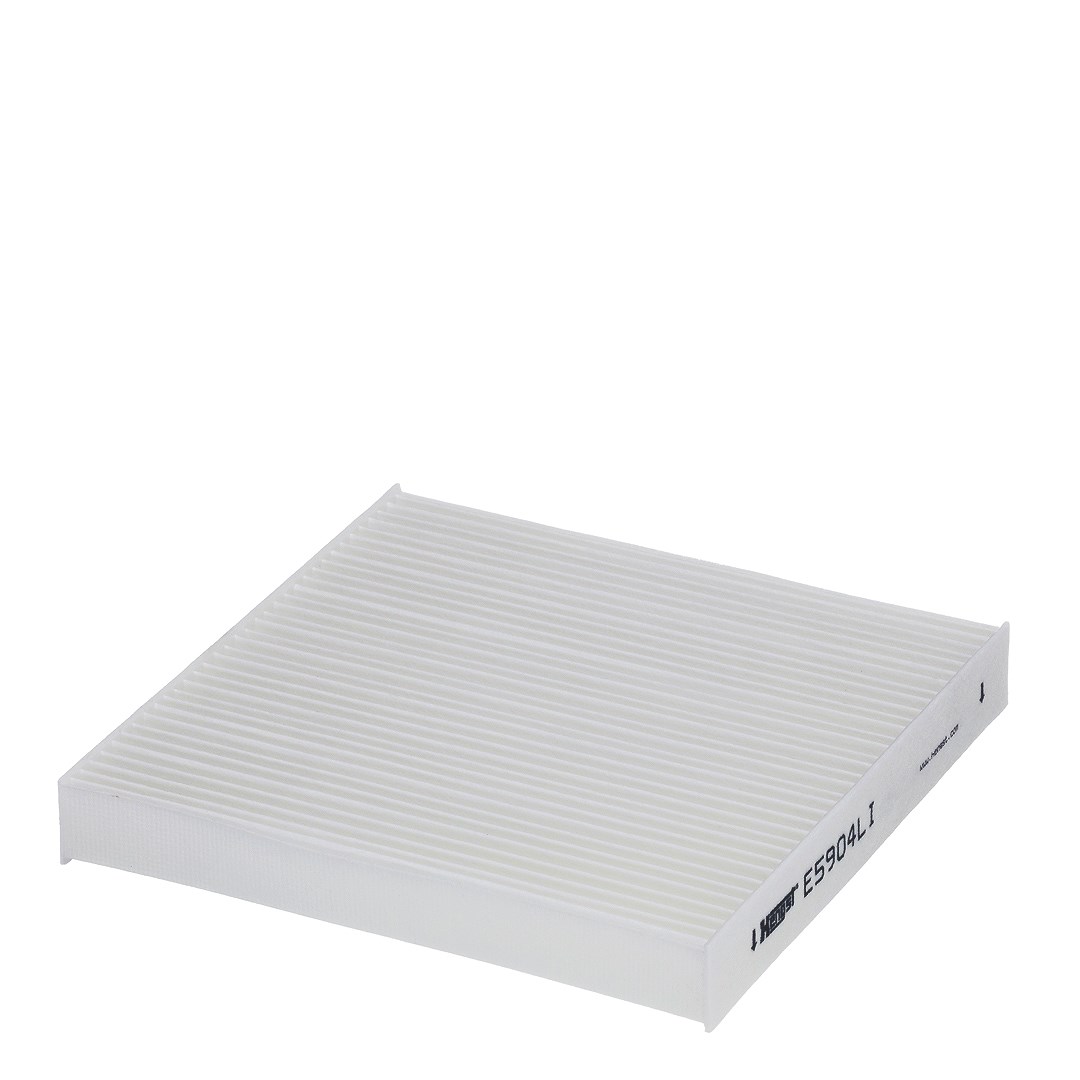 Hengst Filter Filter, Innenraumluft [Hersteller-Nr. E5904LI] für Ssangyong