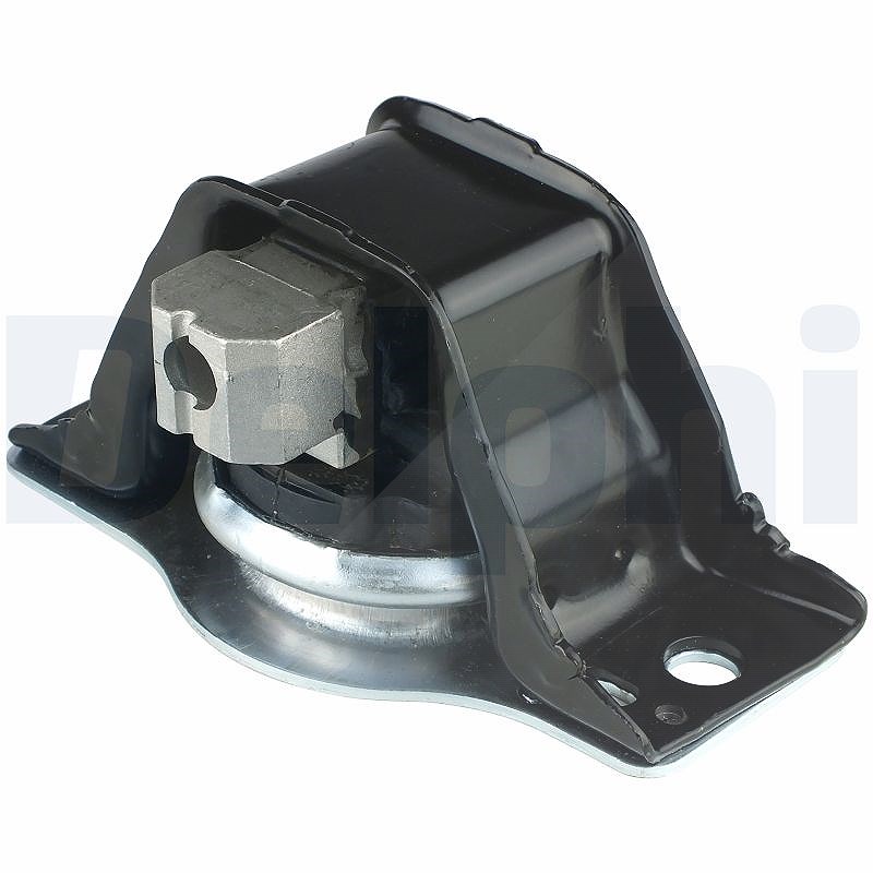 Delphi Lagerung, Motor [Hersteller-Nr. TEM042] für Renault