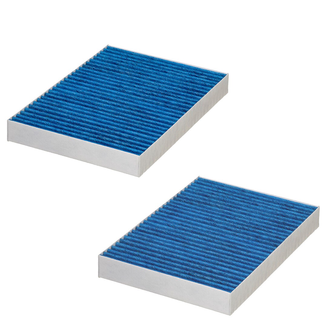 Hengst Filter Filter, Innenraumluft [Hersteller-Nr. E2919LB-2] für Mercedes-Benz