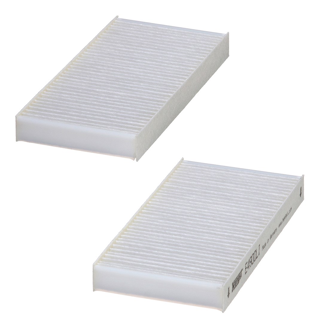 Hengst Filter Filter, Innenraumluft [Hersteller-Nr. E4900LI-2] für Dodge, Jeep