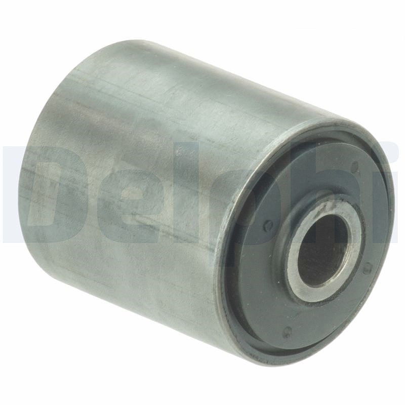 Delphi Lagerung, Blattfeder [Hersteller-Nr. TD1193W] für Ford