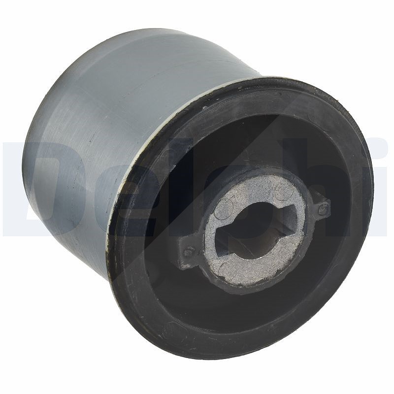 Delphi Lagerung, Achskörper [Hersteller-Nr. TD1157W] für Peugeot, Citroën