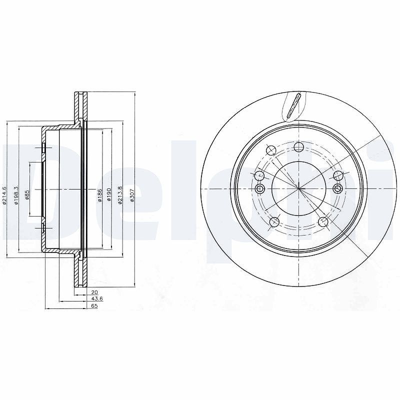 Delphi Bremsscheibe [Hersteller-Nr. BG4273] für Ssangyong