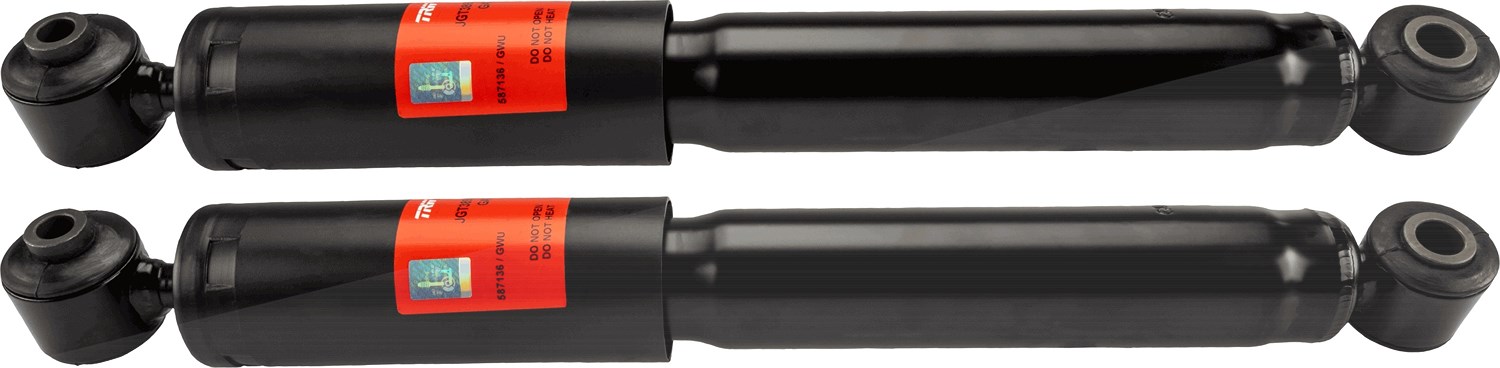 Trw Stoßdämpfer [Hersteller-Nr. JGT389T] für Ford