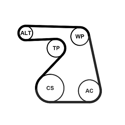 Continental Ctam Keilrippenriemensatz [Hersteller-Nr. 6PK1217K2] für Vauxhall, Chevrolet, Opel