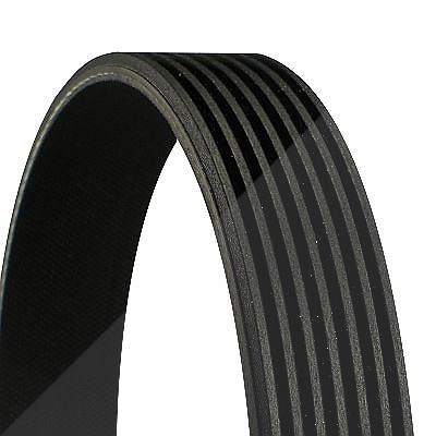 Continental Ctam Keilrippenriemen [Hersteller-Nr. 7PK1440] für BMW