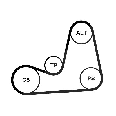 Continental Ctam Keilrippenriemensatz [Hersteller-Nr. 5PK1110K2] für Renault