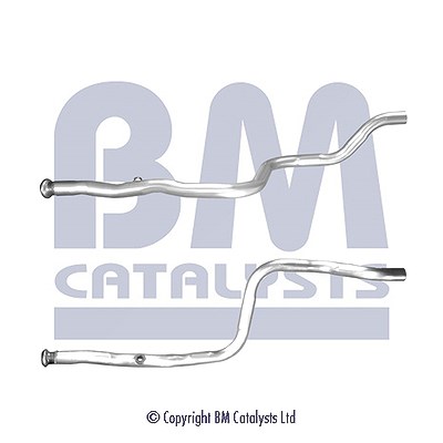 Bm Catalysts Abgasrohr [Hersteller-Nr. BM50638] für Citroën, Ds, Peugeot