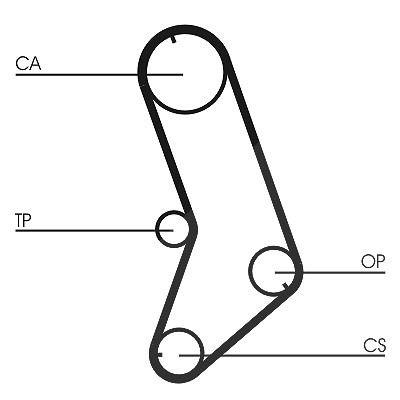 Continental Ctam Zahnriemen [Hersteller-Nr. CT647] für Lancia, Citroën, Yugo, Zastava, Renault, Peugeot, Fiat
