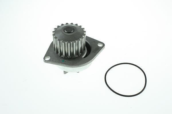 Automega Wasserpumpe [Hersteller-Nr. 160015510] für Citroën, Peugeot