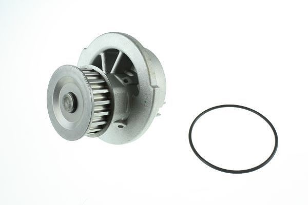 Automega Wasserpumpe [Hersteller-Nr. 160010610] für Daewoo, Chevrolet, Opel, Vauxhall