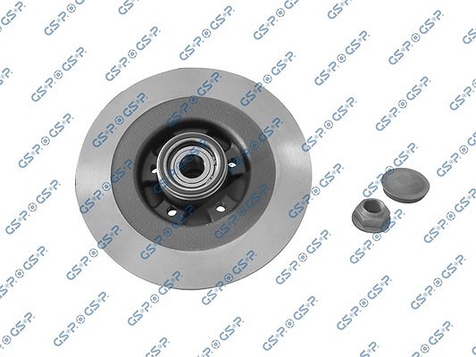 Gsp 1x Bremsscheibe mit Radlager Hinterachse Voll [Hersteller-Nr. 9230142K] für Renault