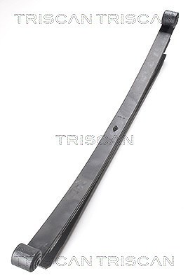 Triscan Federnpaket (Blattfeder) Hinterachse [Hersteller-Nr. 876523021] für Mercedes-Benz, VW