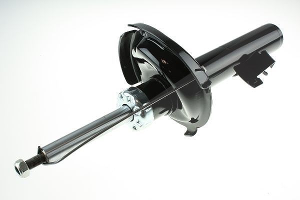 Automega Stoßdämpfer [Hersteller-Nr. 110012510] für Ford