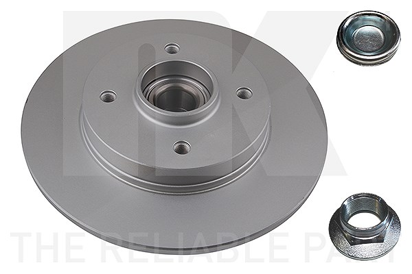 Nk 1x Bremsscheibe mit Radlager mit ABS-Ring Hinterachse [Hersteller-Nr. 313738] für Citroën, Ds, Peugeot