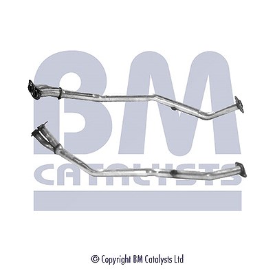 Bm Catalysts Abgasrohr [Hersteller-Nr. BM70123] für Nissan, Ford