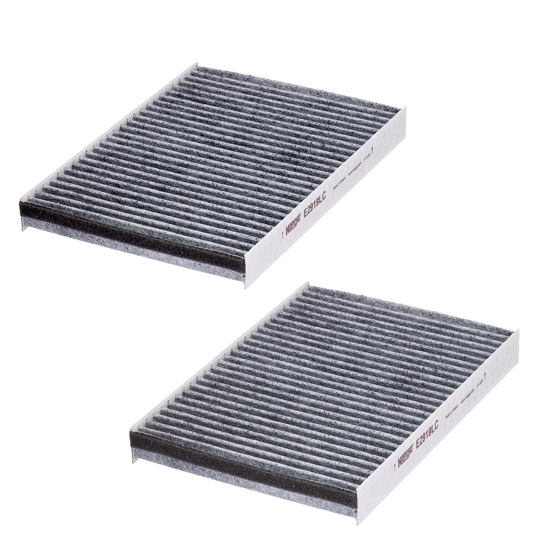 Hengst Filter Filter, Innenraumluft [Hersteller-Nr. E2919LC-2] für Mercedes-Benz