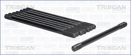 Triscan Zylinderkopfschraubensatz [Hersteller-Nr. 98-1006] für Alfa Romeo, Lancia