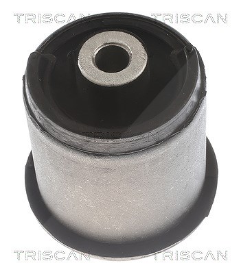 Triscan Lagerung, Achskörper [Hersteller-Nr. 850029874] für Seat, Skoda, VW, Audi