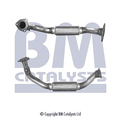 Bm Catalysts Hosenrohr [Hersteller-Nr. BM70369] für Fiat