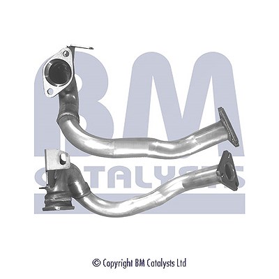 Bm Catalysts Hosenrohr [Hersteller-Nr. BM70101] für Peugeot, Citroën