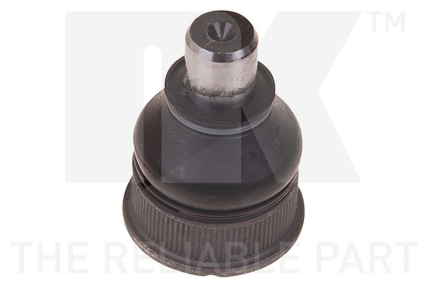 Nk Traggelenk vorne unten [Hersteller-Nr. 5043706] für Peugeot, Citroën