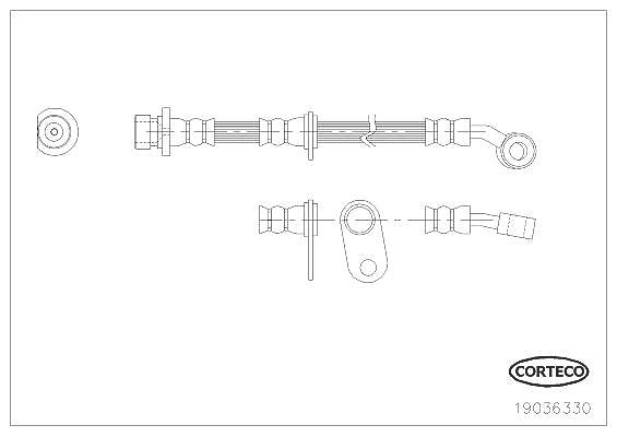 Corteco Bremsschlauch ERSTAUSRÜSTERQUALITÄT [Hersteller-Nr. 19036330] für Honda
