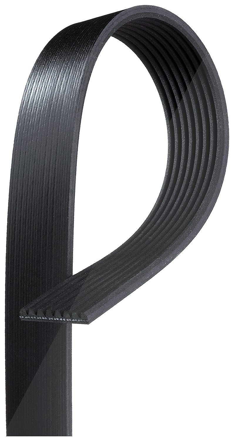 Gates Keilrippenriemen [Hersteller-Nr. 8PK954EST] für Mini, BMW