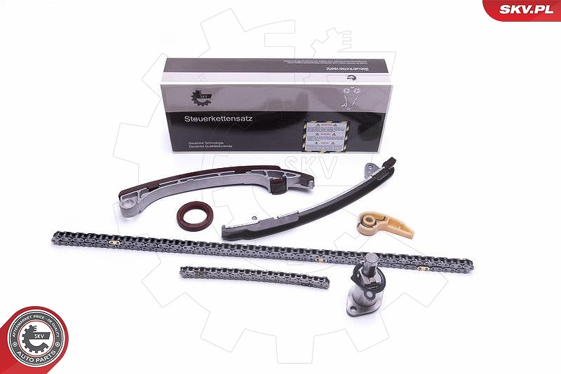 Esen Skv Steuerkettensatz [Hersteller-Nr. 21SKV198] für Toyota