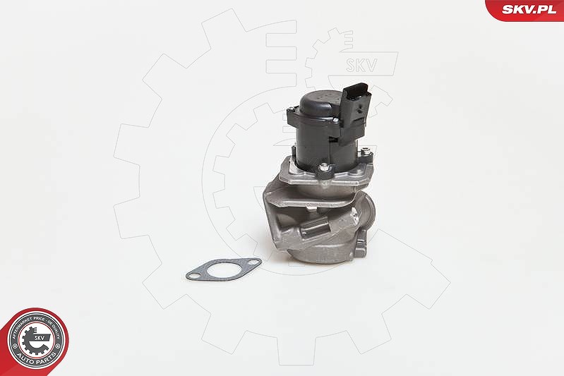 Esen Skv AGR-Ventil [Hersteller-Nr. 14SKV027] für Peugeot, Toyota, Ford, Citroën