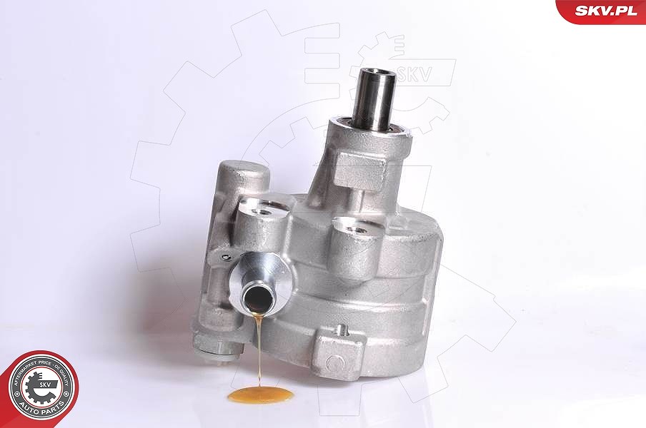 Esen Skv Hydraulikpumpe, Lenkung [Hersteller-Nr. 10SKV180] für Renault