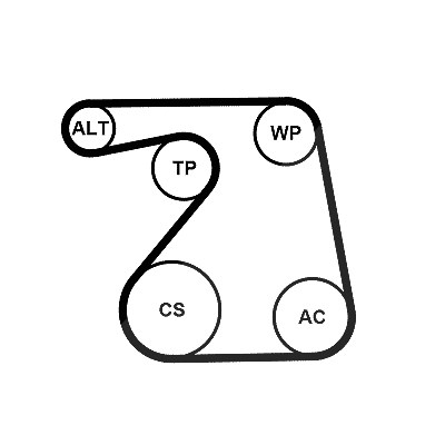 Continental Ctam Keilrippenriemensatz [Hersteller-Nr. 6PK1360K1] für Vauxhall, Opel