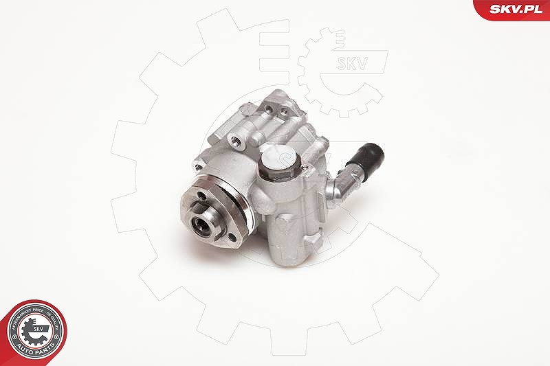 Esen Skv Hydraulikpumpe, Lenkung [Hersteller-Nr. 10SKV110] für Audi, VW