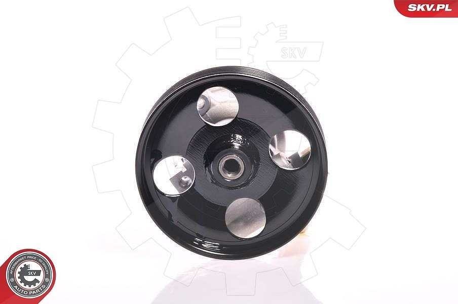 Esen Skv Hydraulikpumpe, Lenkung [Hersteller-Nr. 10SKV156] für Peugeot, Citroën