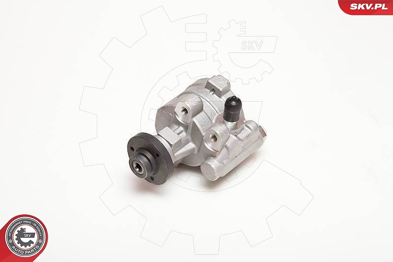Esen Skv Hydraulikpumpe, Lenkung [Hersteller-Nr. 10SKV054] für Renault