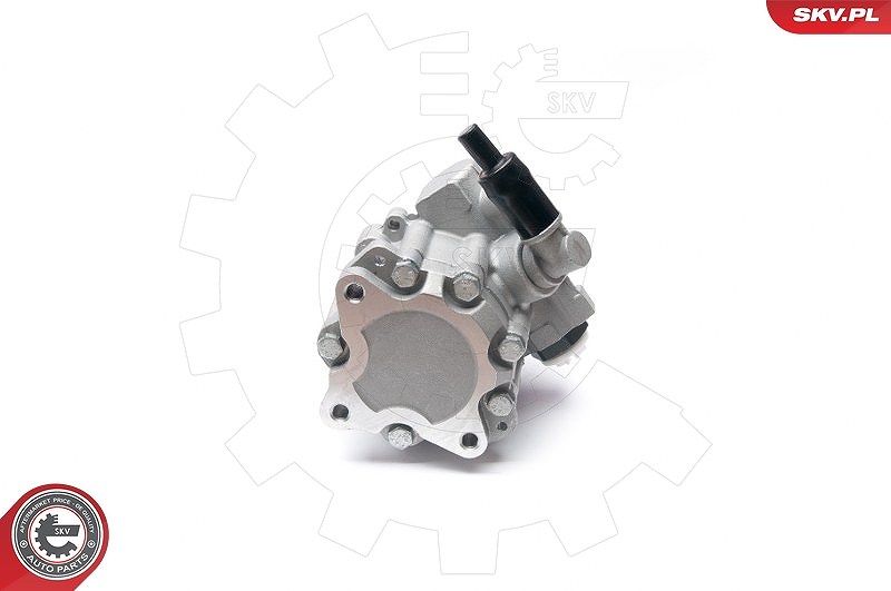 Esen Skv Hydraulikpumpe, Lenkung [Hersteller-Nr. 10SKV224] für Audi