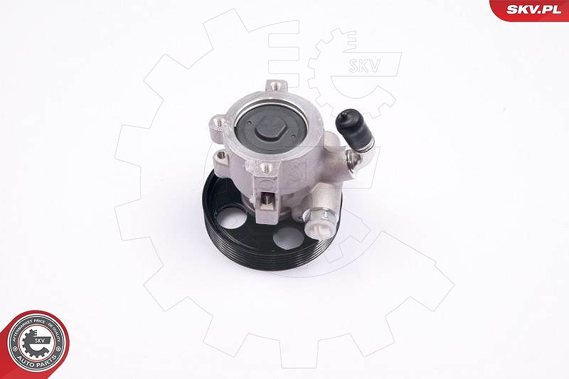 Esen Skv Hydraulikpumpe, Lenkung [Hersteller-Nr. 10SKV174] für Citroën, Peugeot