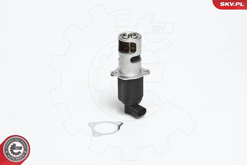 Esen Skv AGR-Ventil [Hersteller-Nr. 14SKV032] für Nissan, Renault, Opel, Vauxhall