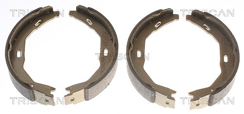Triscan Bremsbackensatz Feststellbremse [Hersteller-Nr. 810023029] für Mercedes-Benz